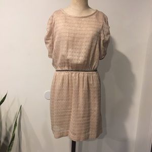 Banana Republic Scallop Mini Dress Size 4